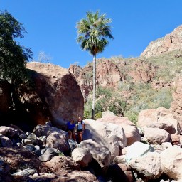 Baja California Sur           Nature Collage