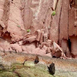 Caleta Partida, Isla Partida, Sea of Cortez    4.14 – 4.16.20