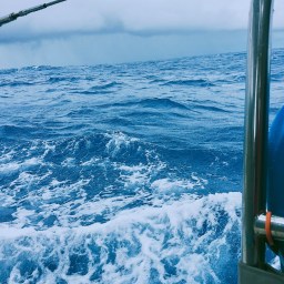 Pacific Passage Mexico to Hawaii and Counting Degrees of Longitude, May 11