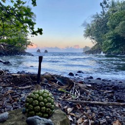 Life at anchor in Reed’s Bay, Hilo for the month of June