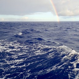Our Passage Across the Wide Blue Ocean from La Paz, Mexico to Hilo, Hawaii,  Early Passage